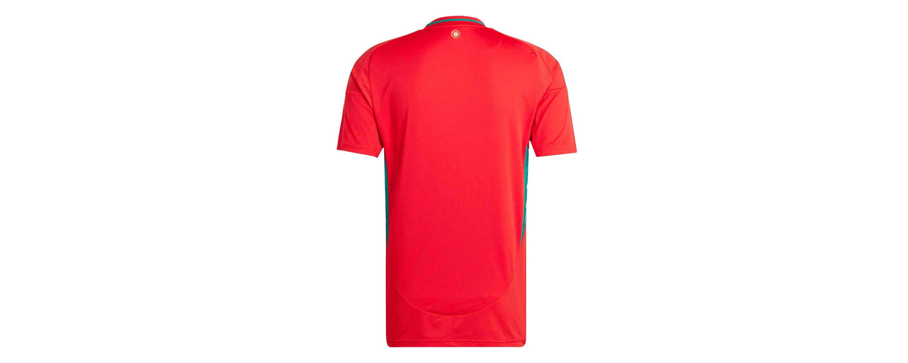 Soccer National Teams Wales National Team 2024 Home Replica Jersey