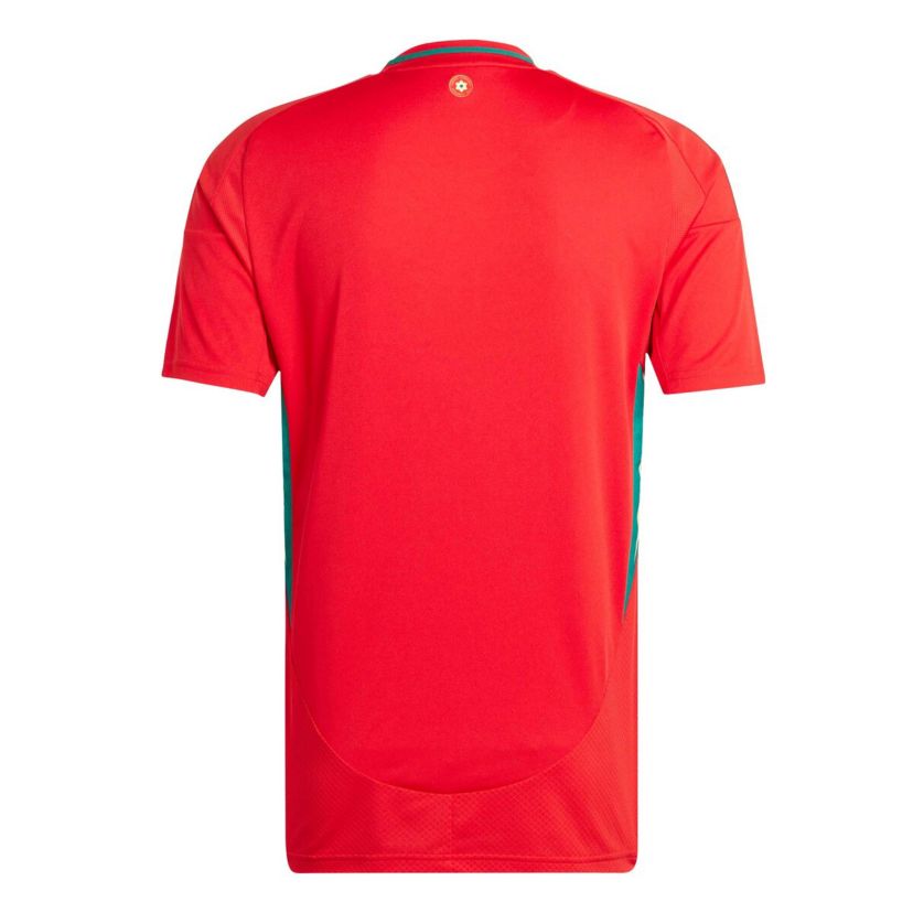 Soccer National Teams Wales National Team 2024 Home Replica Jersey
