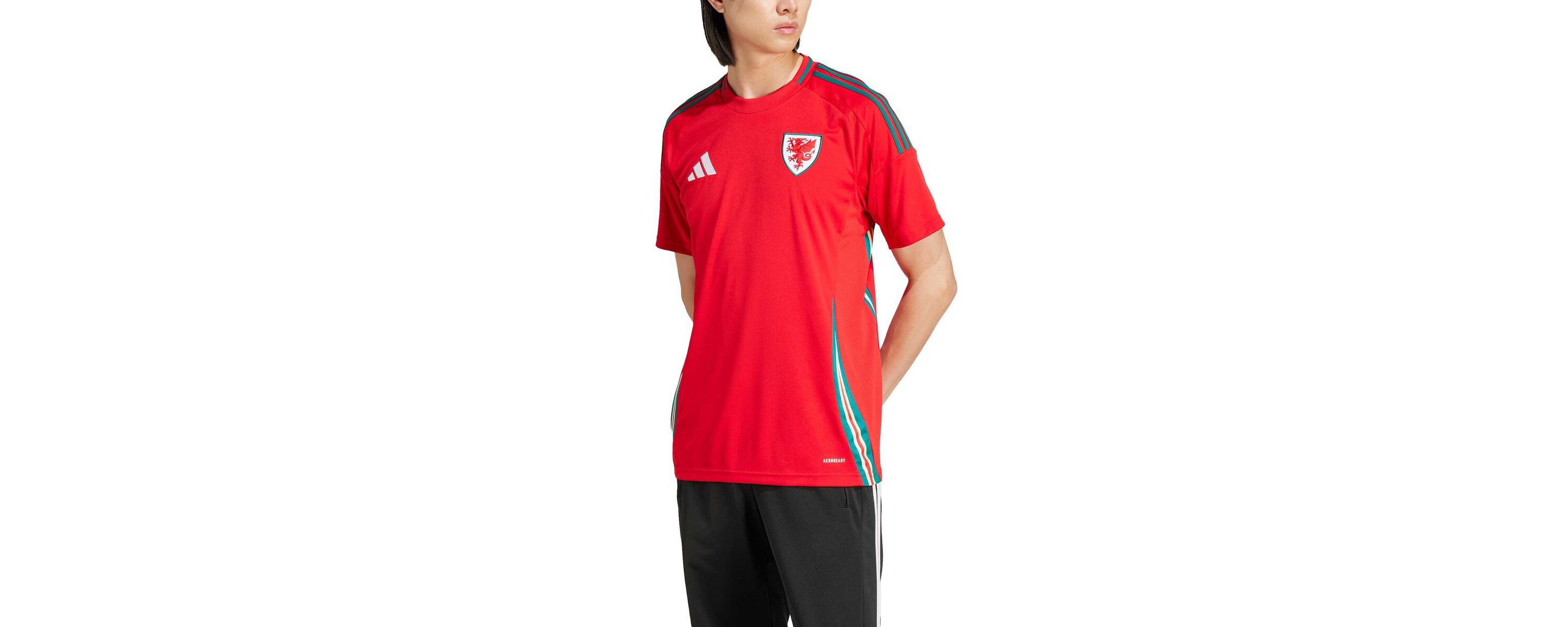 Soccer National Teams Wales National Team 2024 Home Replica Jersey
