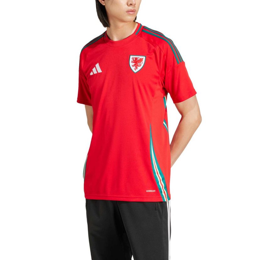 Soccer National Teams Wales National Team 2024 Home Replica Jersey