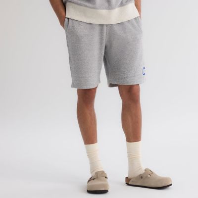 Men's MLB Fanatics Heather Chicago Cubs Iconic Terry Warm-Up Shorts