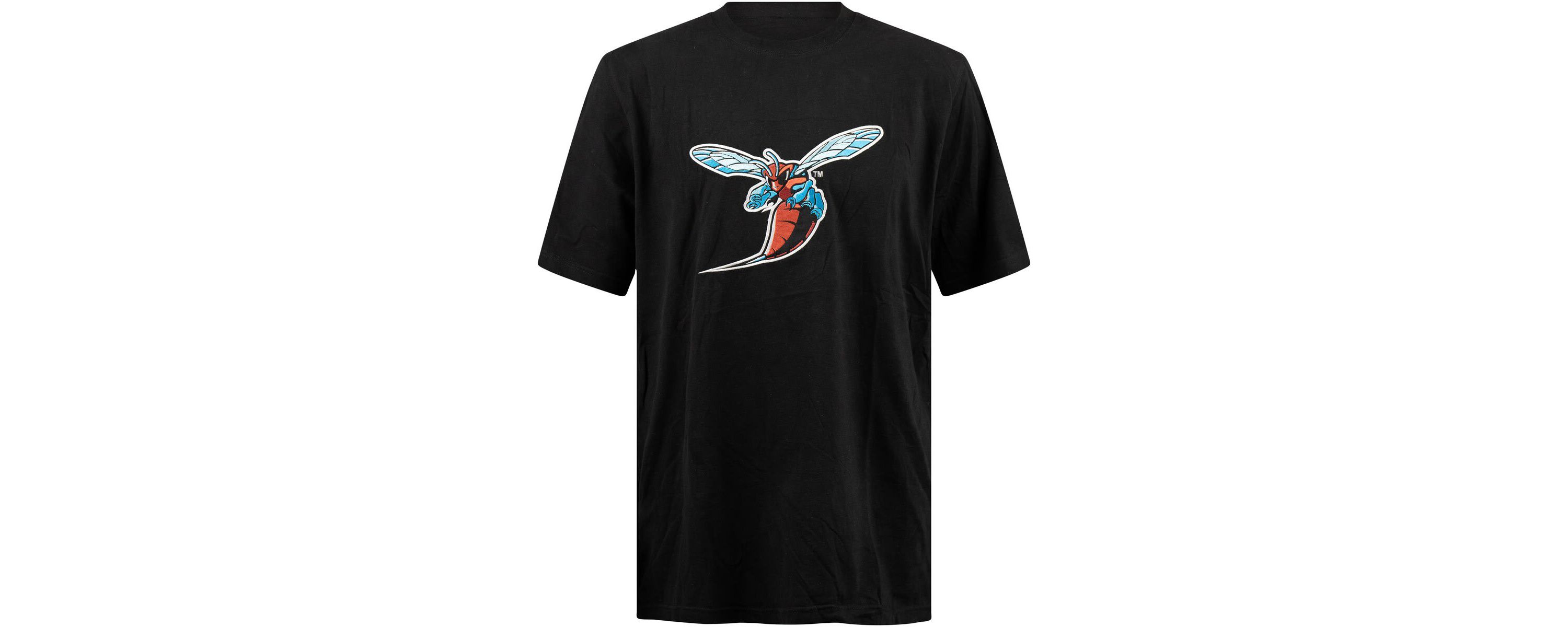 NCAA Delaware State Hornets Applique T-Shirt