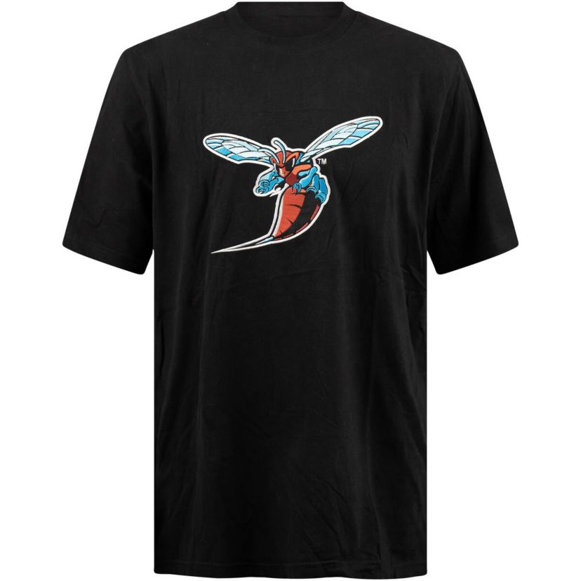 NCAA Delaware State Hornets Applique T-Shirt