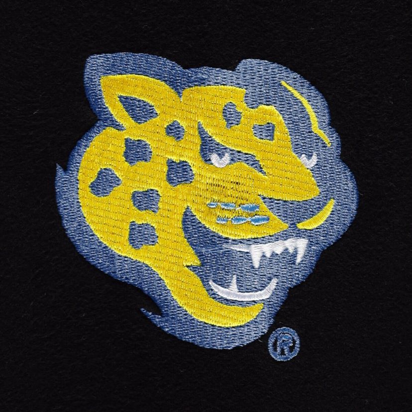 NCAA Southern University Jaguars Puff Print Sliced Pullover Hoodie