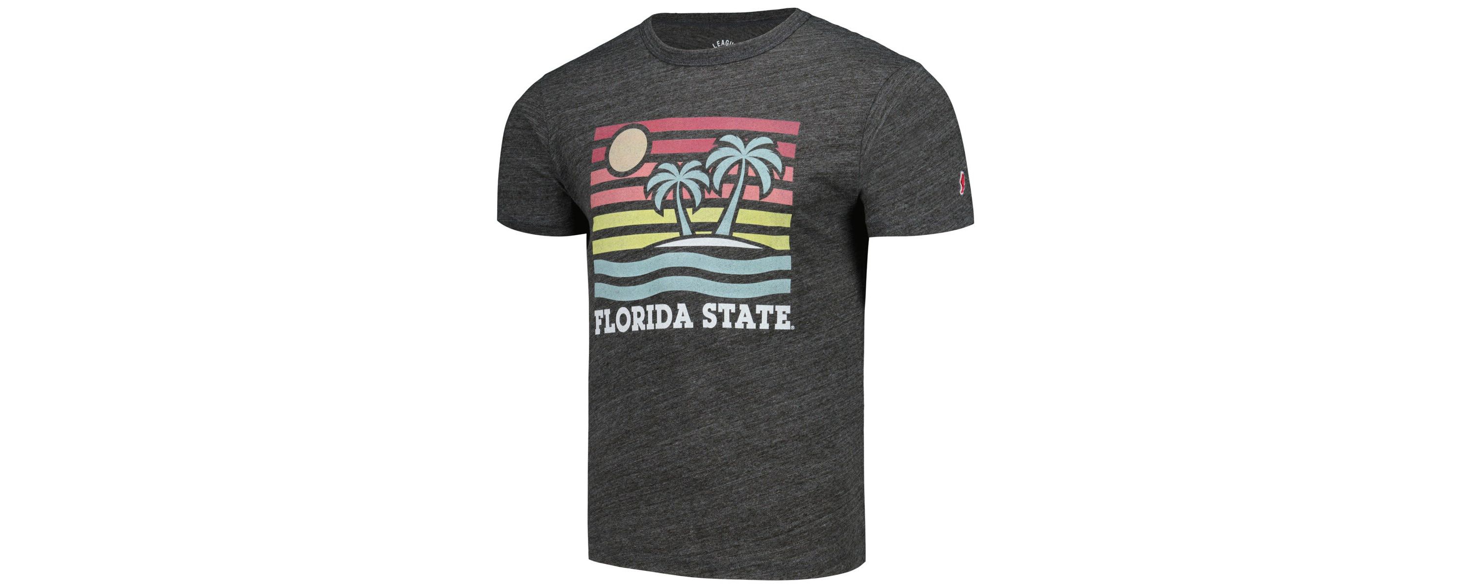 NCAA Florida State Seminoles Hyper Local Victory Falls Tri-Blend T-Shirt
