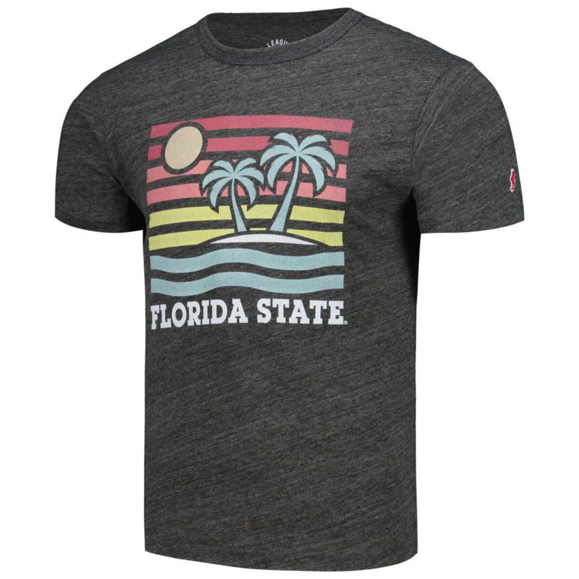 NCAA Florida State Seminoles Hyper Local Victory Falls Tri-Blend T-Shirt