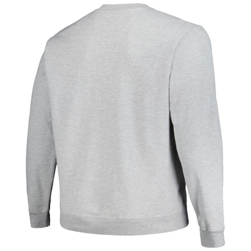 NCAA UCLA Bruins Tall Arch Essential Pullover Sweatshirt