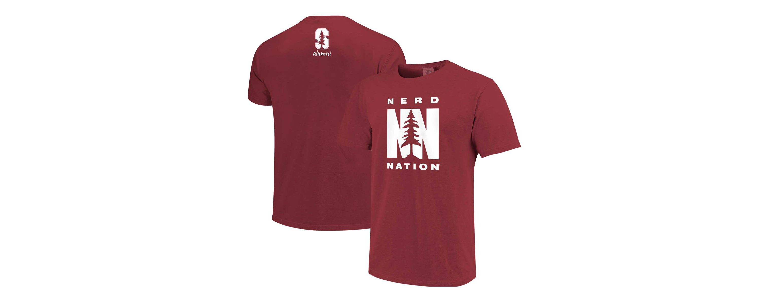 Stanford Cardinal NCAA Stanford Alumni Nerd Nation Comfort Color T-Shirt