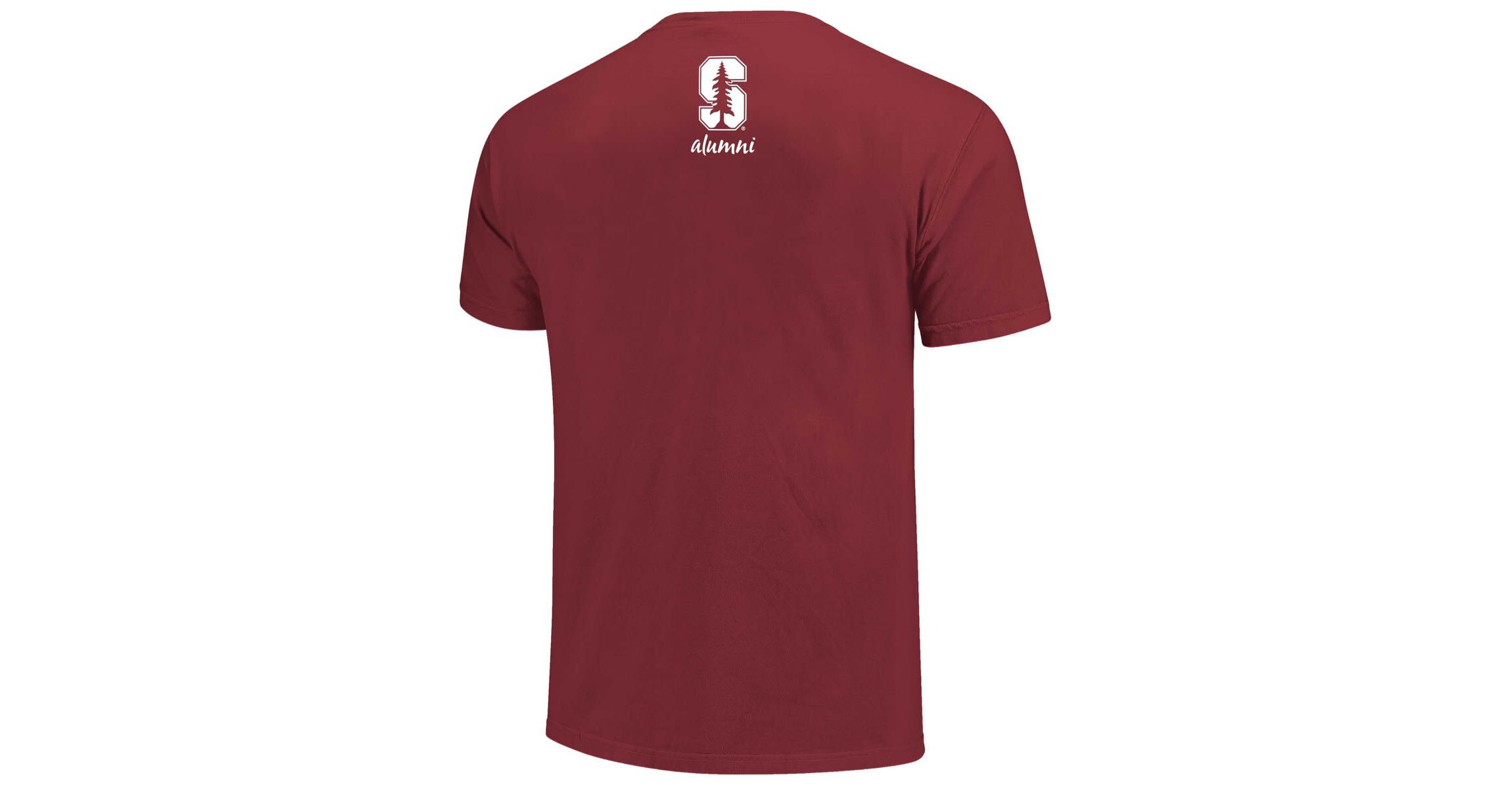 Stanford Cardinal NCAA Stanford Alumni Nerd Nation Comfort Color T-Shirt