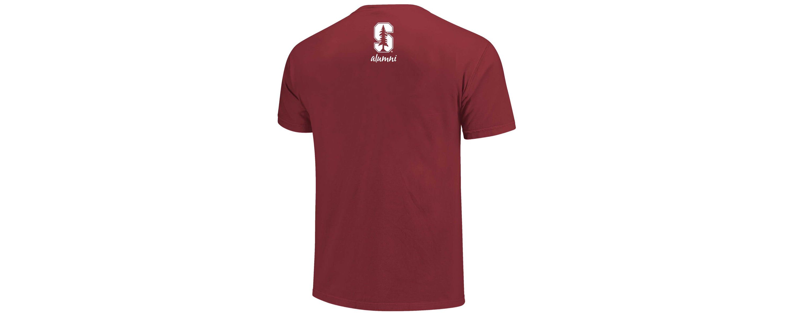 Stanford Cardinal NCAA Stanford Alumni Nerd Nation Comfort Color T-Shirt