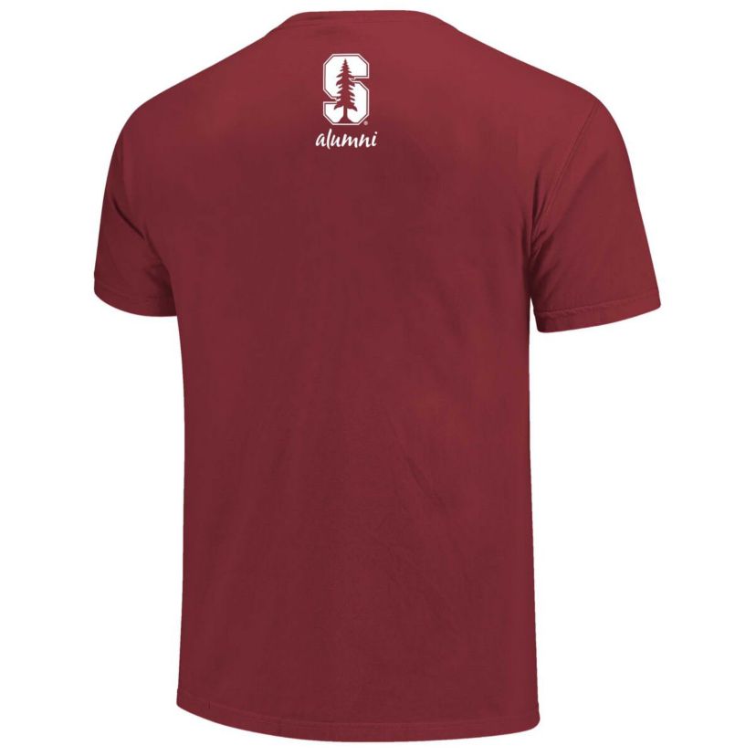 Stanford Cardinal NCAA Stanford Alumni Nerd Nation Comfort Color T-Shirt