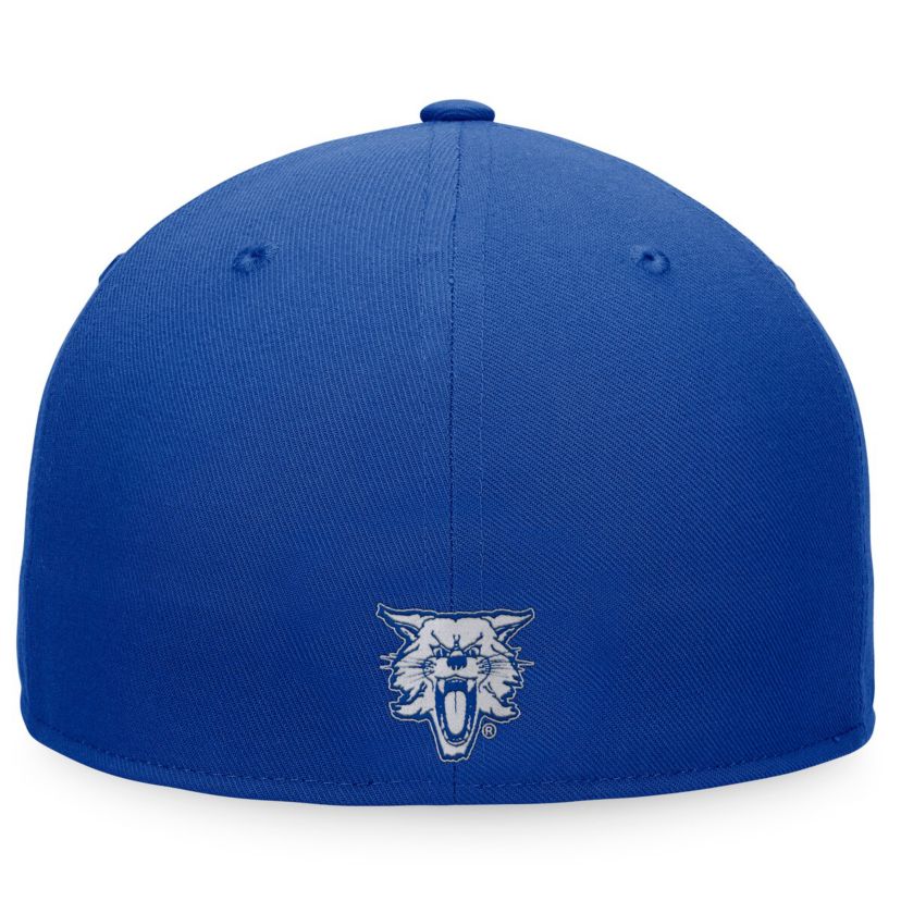 NCAA Kentucky Wildcats Fitted Hat