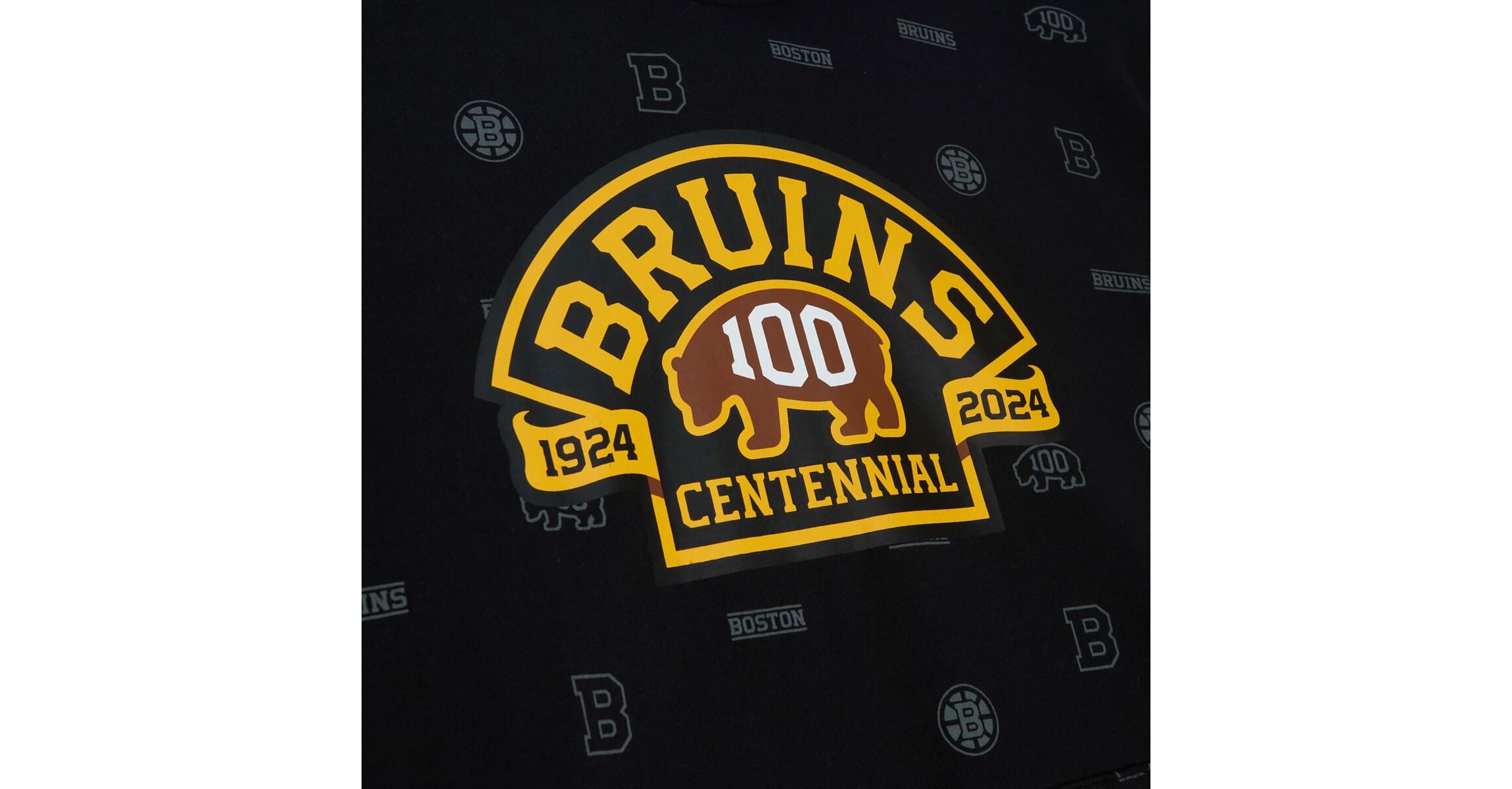 NHL 100th Anniversary Allover Print Pullover Hoodie