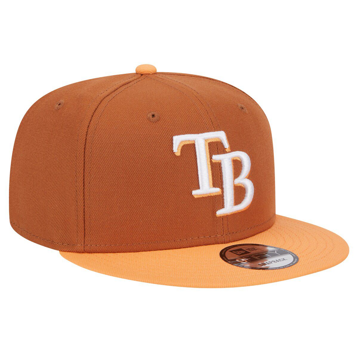 MLB Tampa Bay Rays Spring Color Two-Tone 9FIFTY Snapback Hat