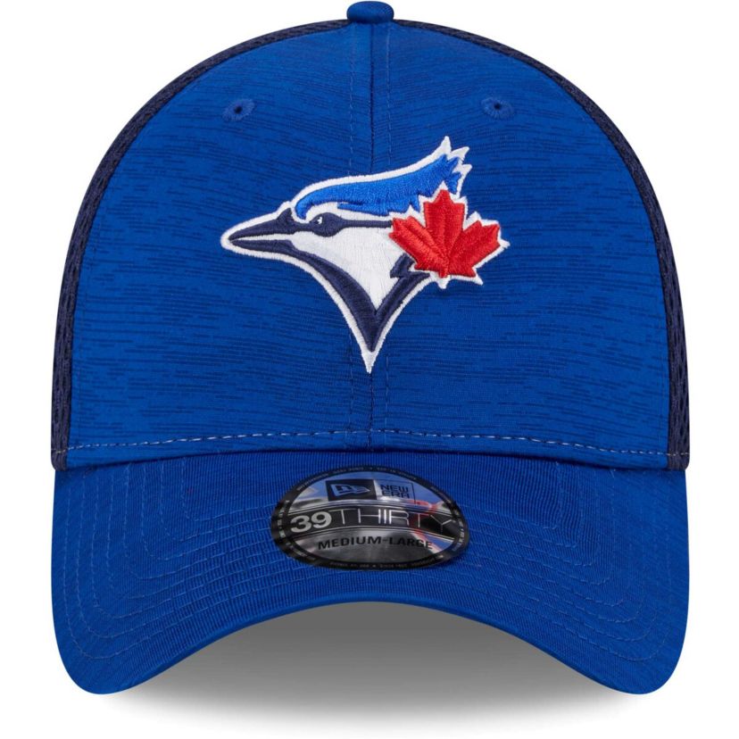 Toronto Blue Jays MLB Toronto Jays Neo 39THIRTY Flex Hat