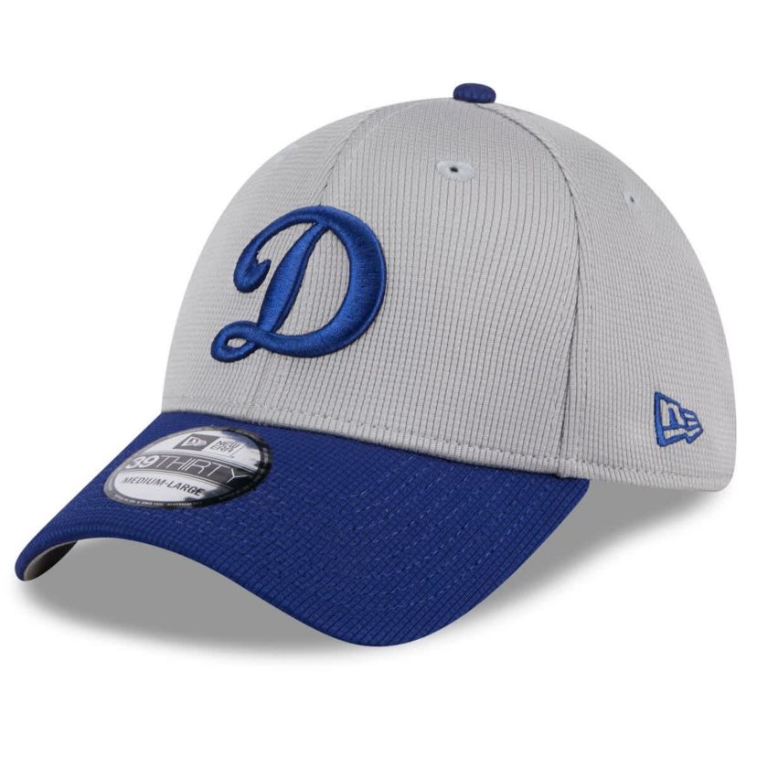 MLB Los Angeles Dodgers 2025 Batting Practice 39THIRTY Flex Hat