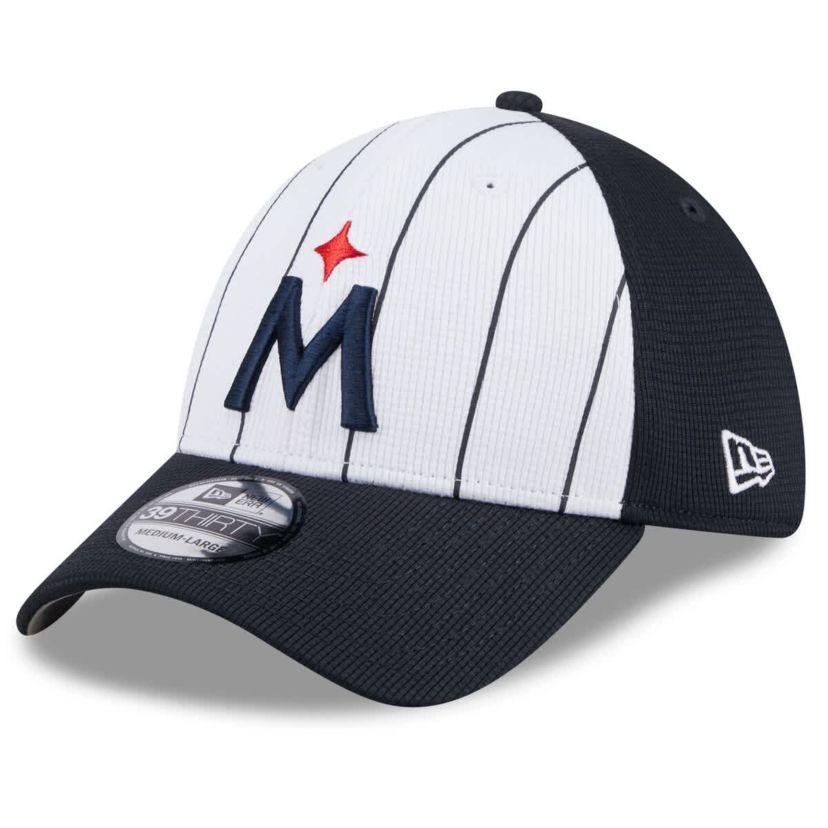 MLB Minnesota Twins 2025 Batting Practice 39THIRTY Flex Hat