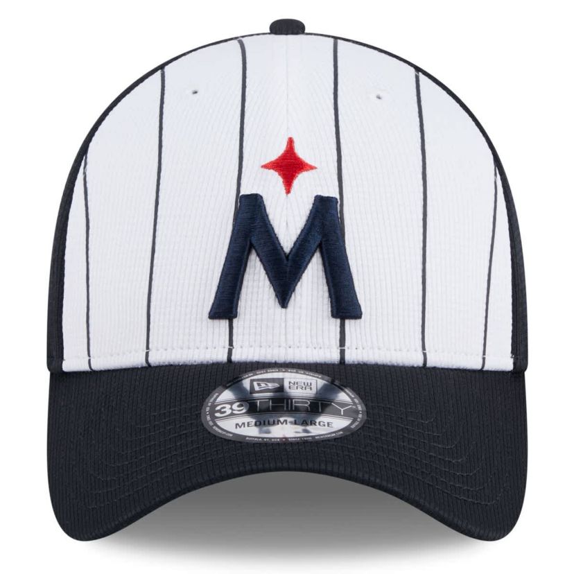 MLB Minnesota Twins 2025 Batting Practice 39THIRTY Flex Hat