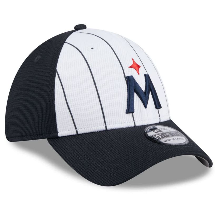 MLB Minnesota Twins 2025 Batting Practice 39THIRTY Flex Hat