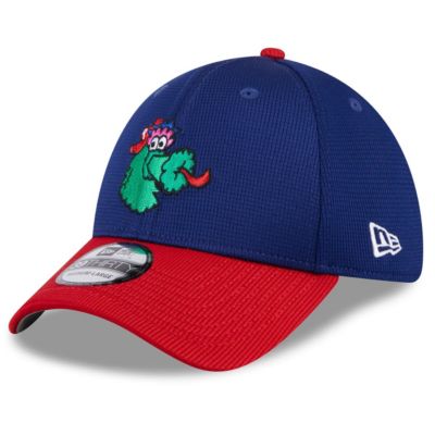 New Era Men's MLB Philadelphia Phillies 2025 Batting Practice 39THIRTY Flex Hat, Navy Blue, Small