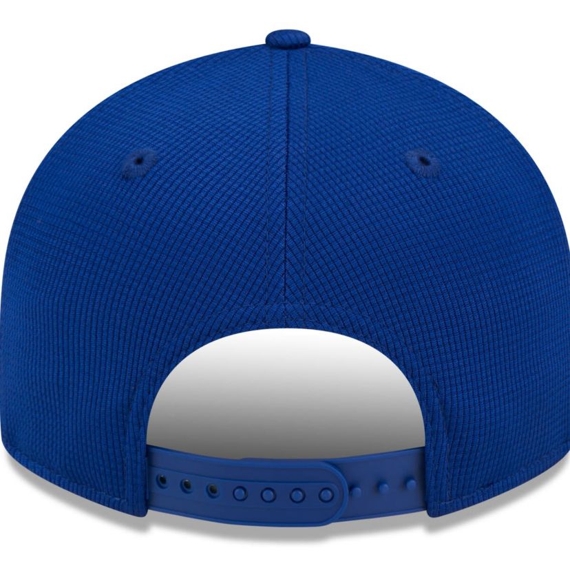 MLB Chicago Cubs 2025 Batting Practice Low 9FIFTY Snapback Hat