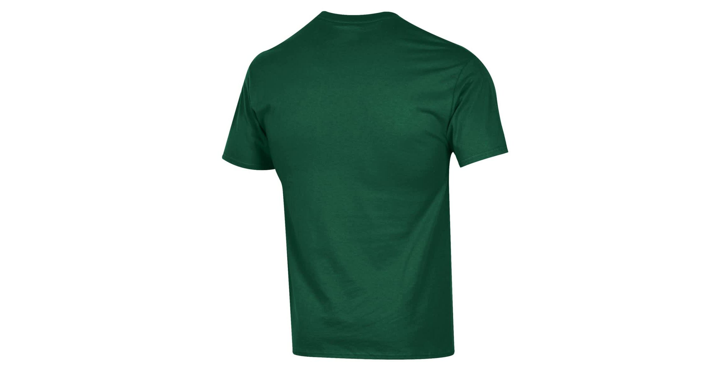 NCAA Florida A&M Rattlers Football Jersey T-Shirt