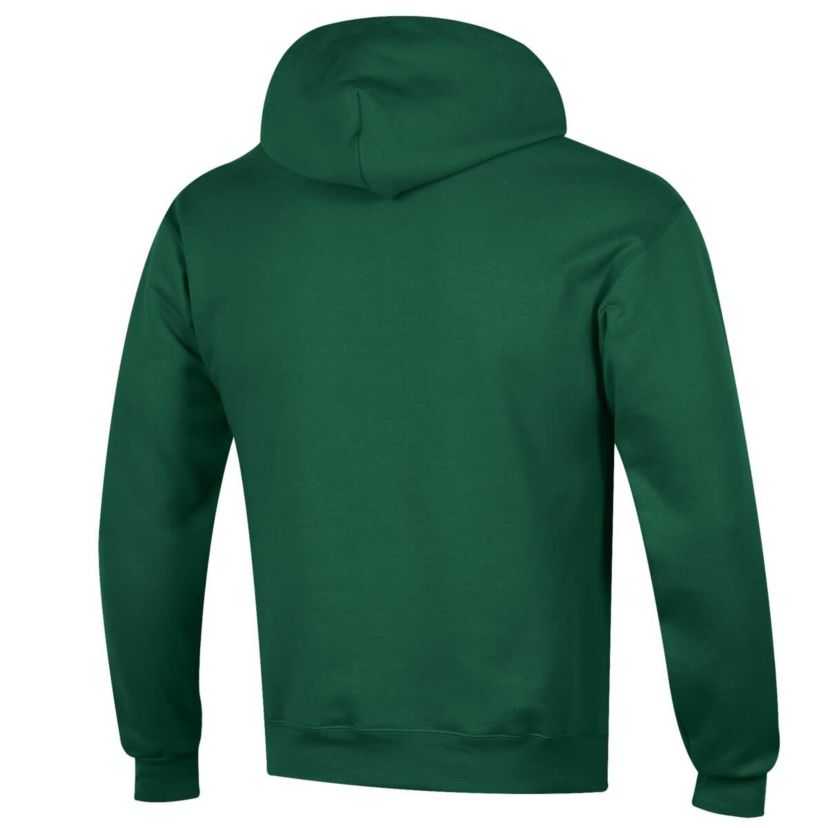 NCAA Florida A&M Rattlers Football Eco Powerblend Pullover Hoodie
