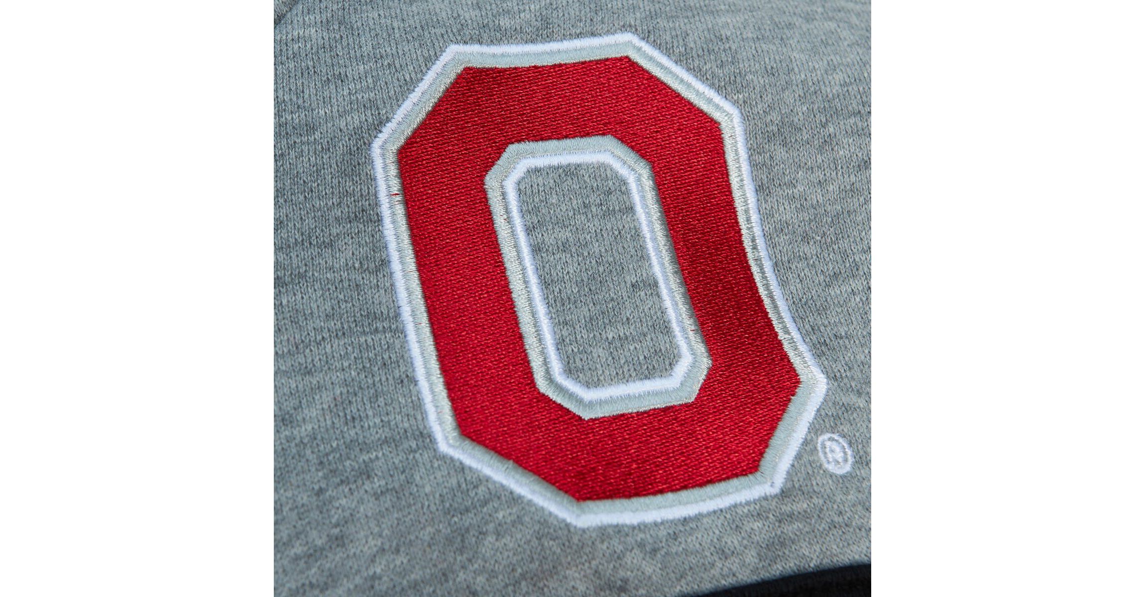 NCAA Ohio State Buckeyes Head Coach Pullover Hoodie