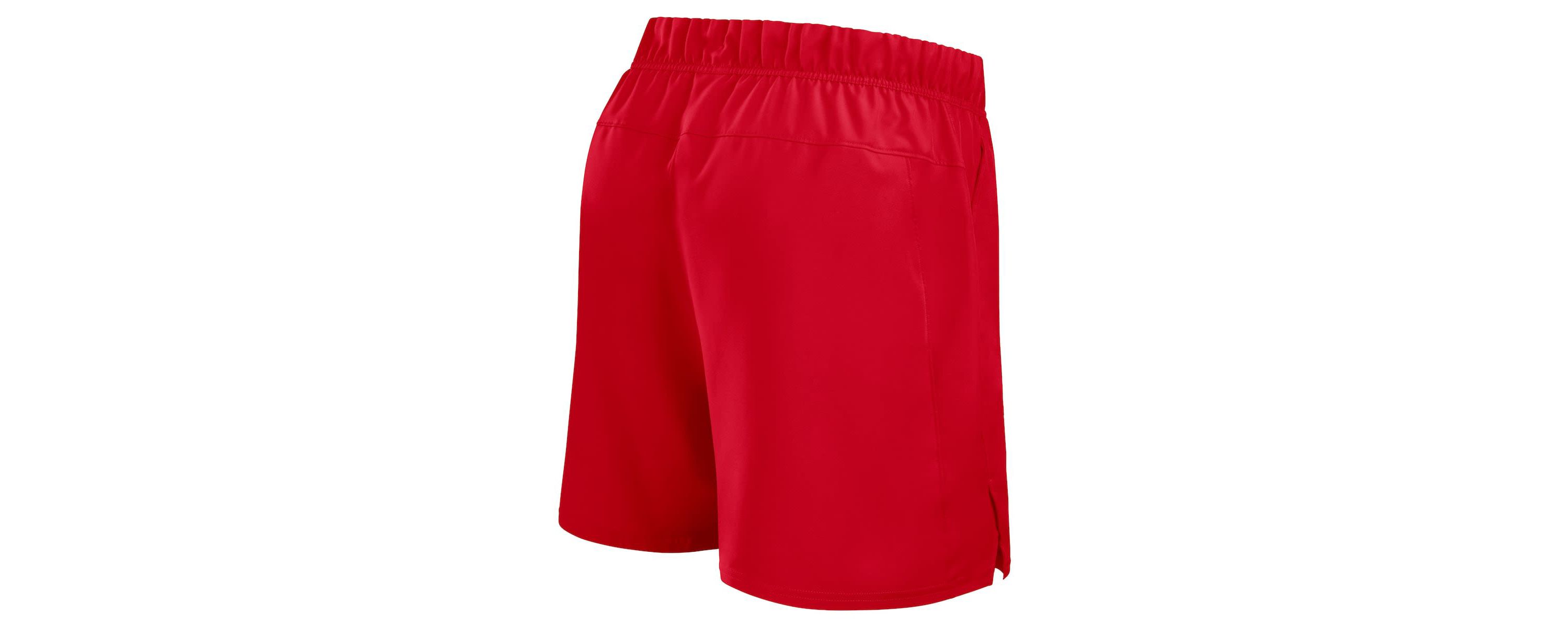NCAA Nike Ohio State Buckeyes Primetime Victory Dri-FIT Shorts