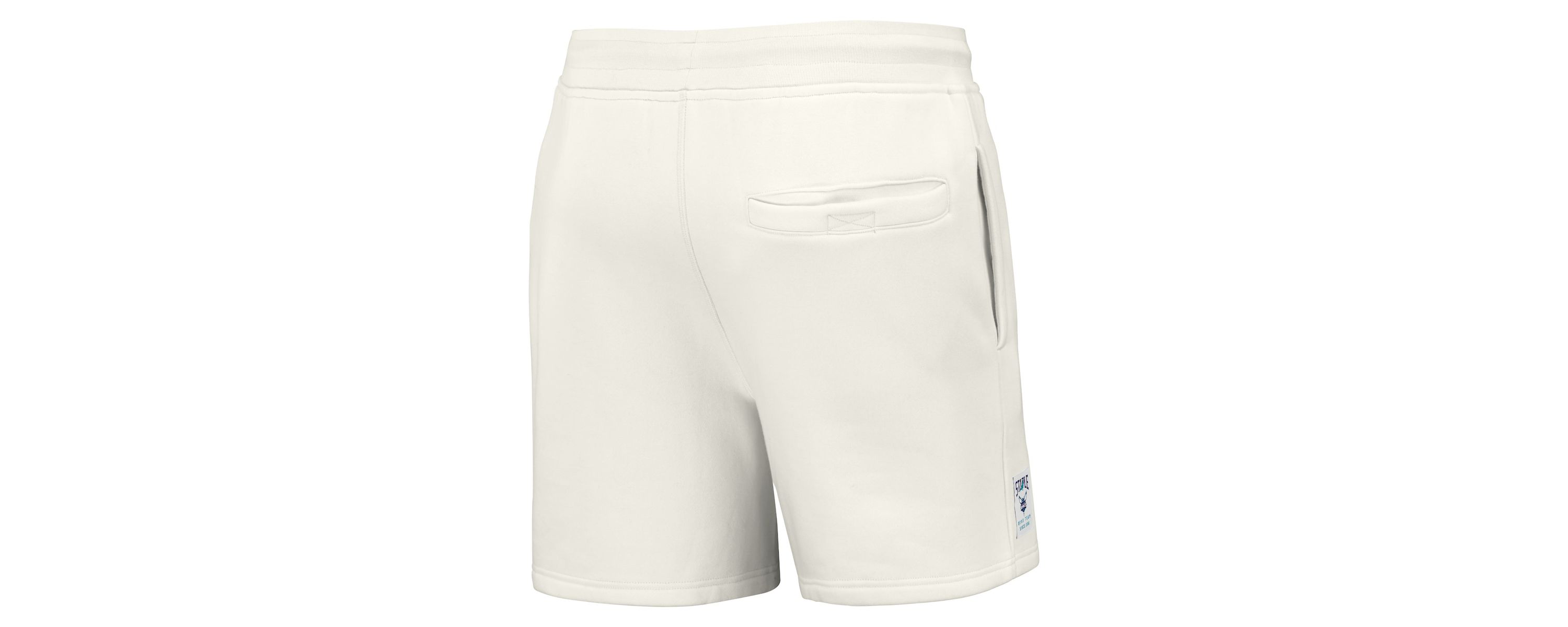 NBA NBA x Charlotte Hornets Heavyweight Fleece Shorts