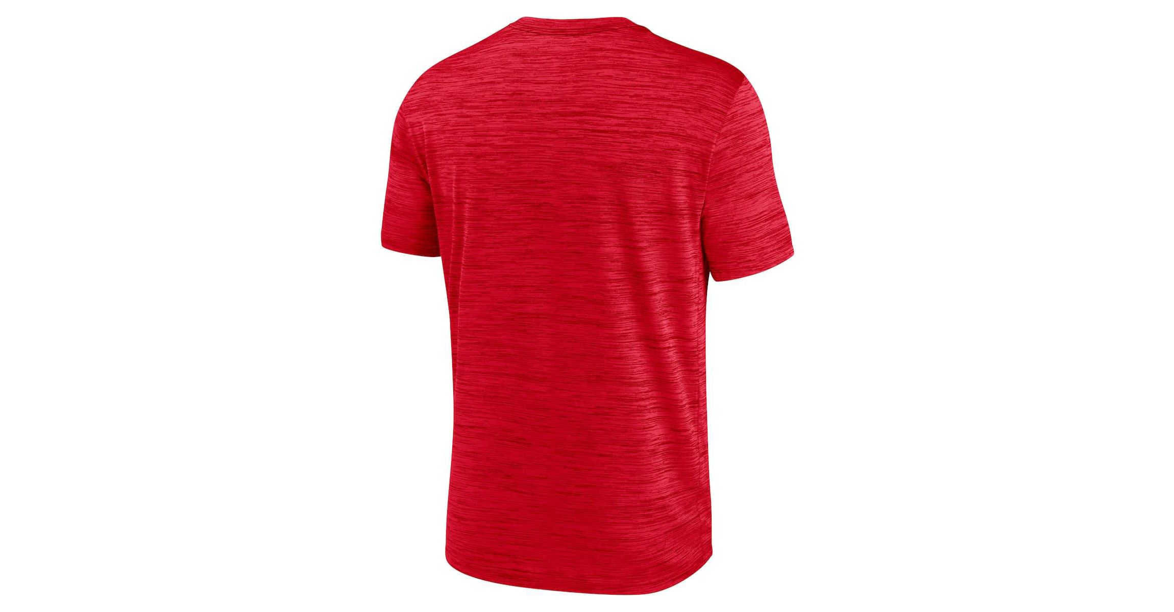 NCAA Nike Georgia Bulldogs 2024 Sideline Velocity Dri-FIT T-Shirt