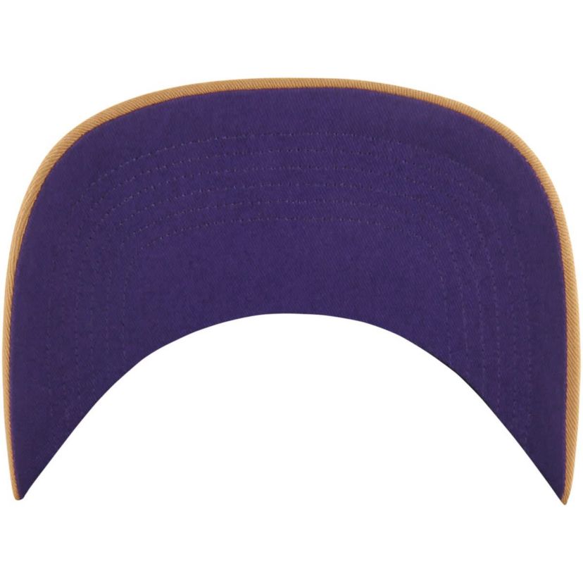 NBA Los Angeles Lakers Barnes Hitch Adjustable Hat
