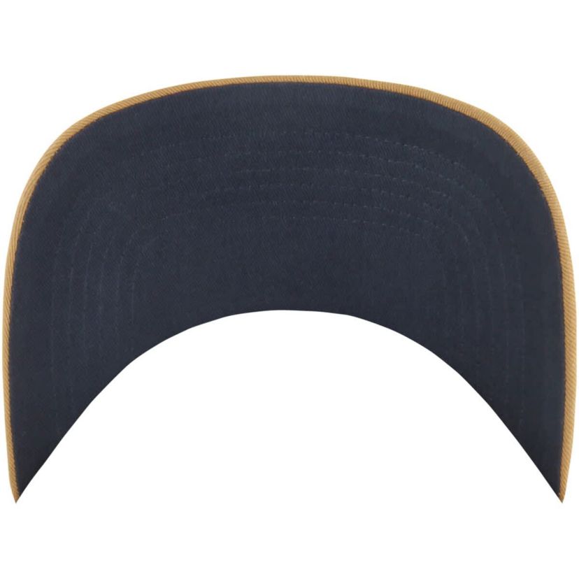 NBA Memphis Grizzlies Barnes Hitch Adjustable Hat
