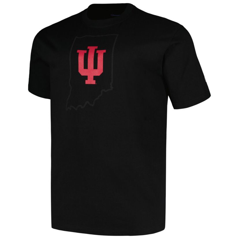 NCAA Indiana Hoosiers Big & Tall Pop T-Shirt