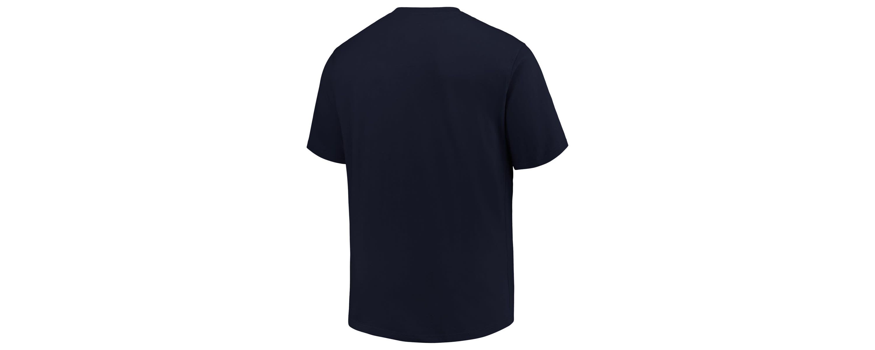 MLB Houston Astros Big & Tall Primary Logo T-Shirt