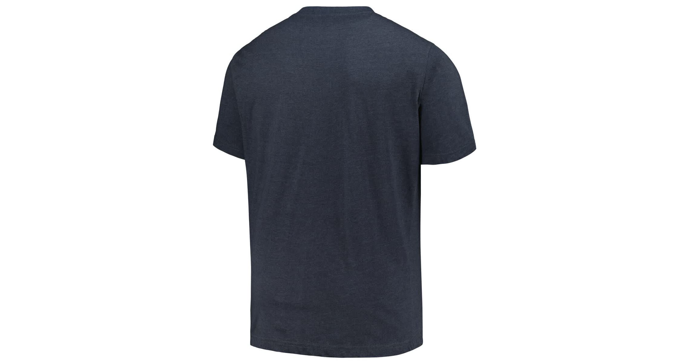 MLB Tampa Bay Rays Big & Tall Weathered Logo T-Shirt