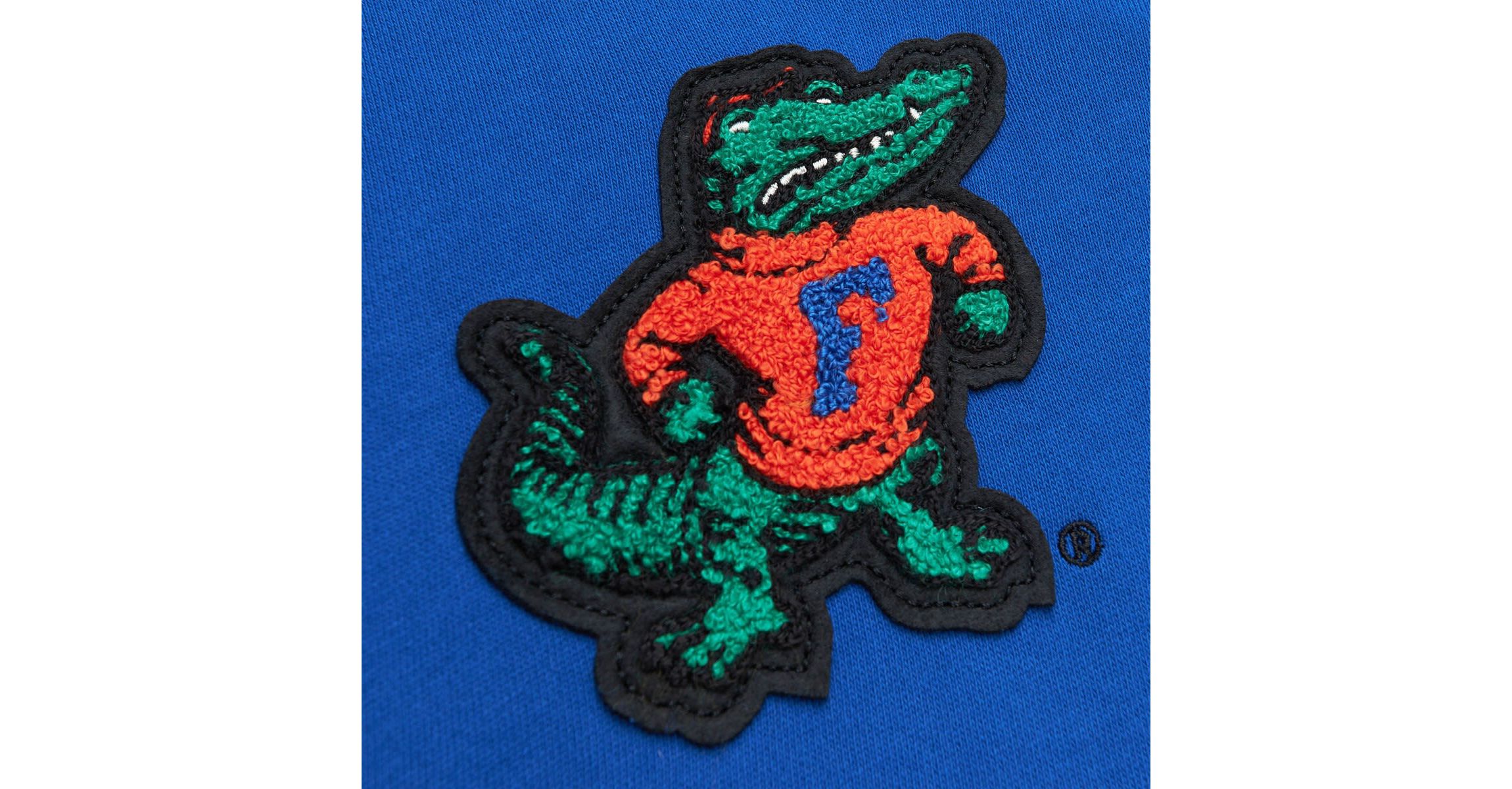 NCAA Florida Gators Team Legacy French Terry Pullover Hoodie