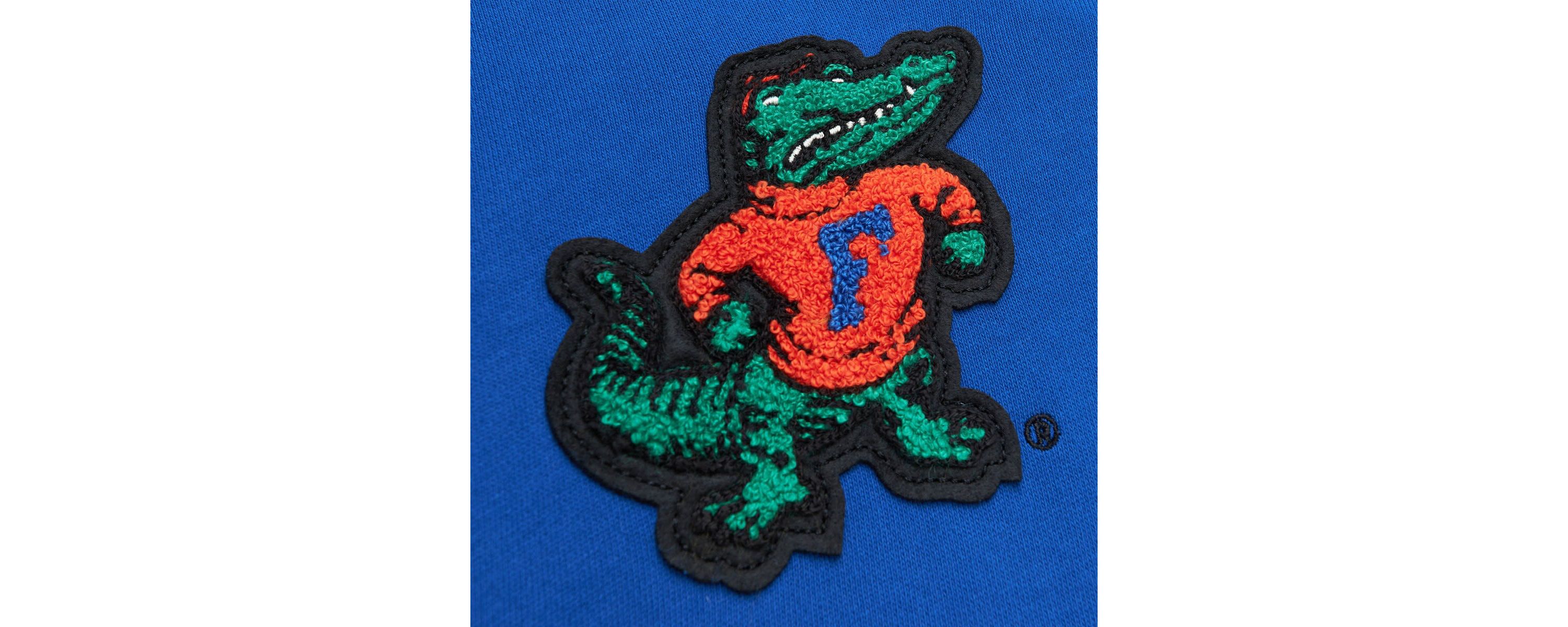 NCAA Florida Gators Team Legacy French Terry Pullover Hoodie