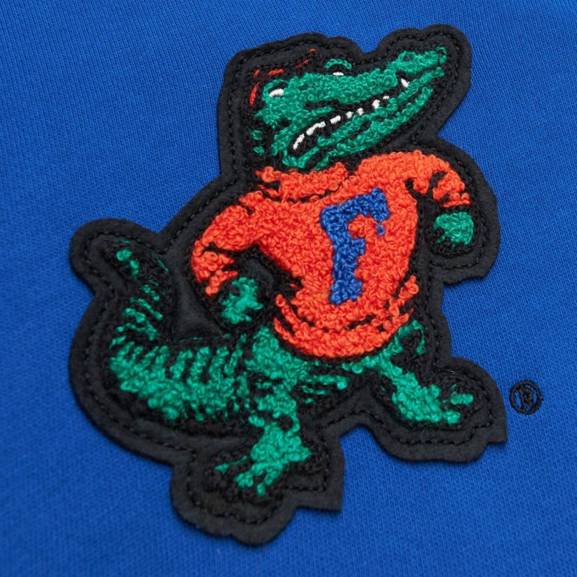 NCAA Florida Gators Team Legacy French Terry Pullover Hoodie
