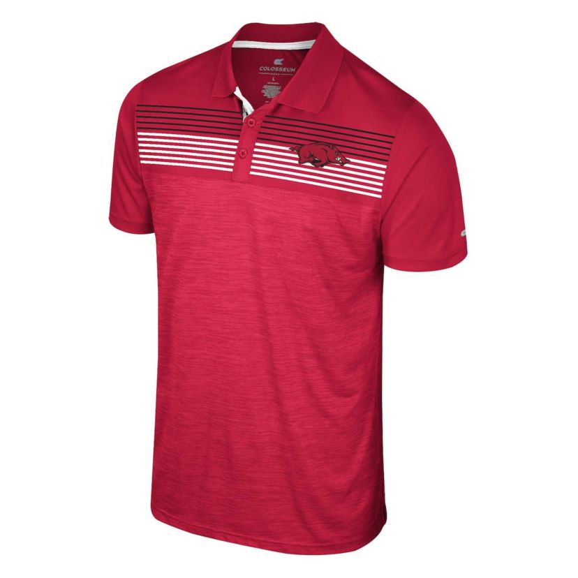 NCAA Arkansas Razorbacks Langmore Polo