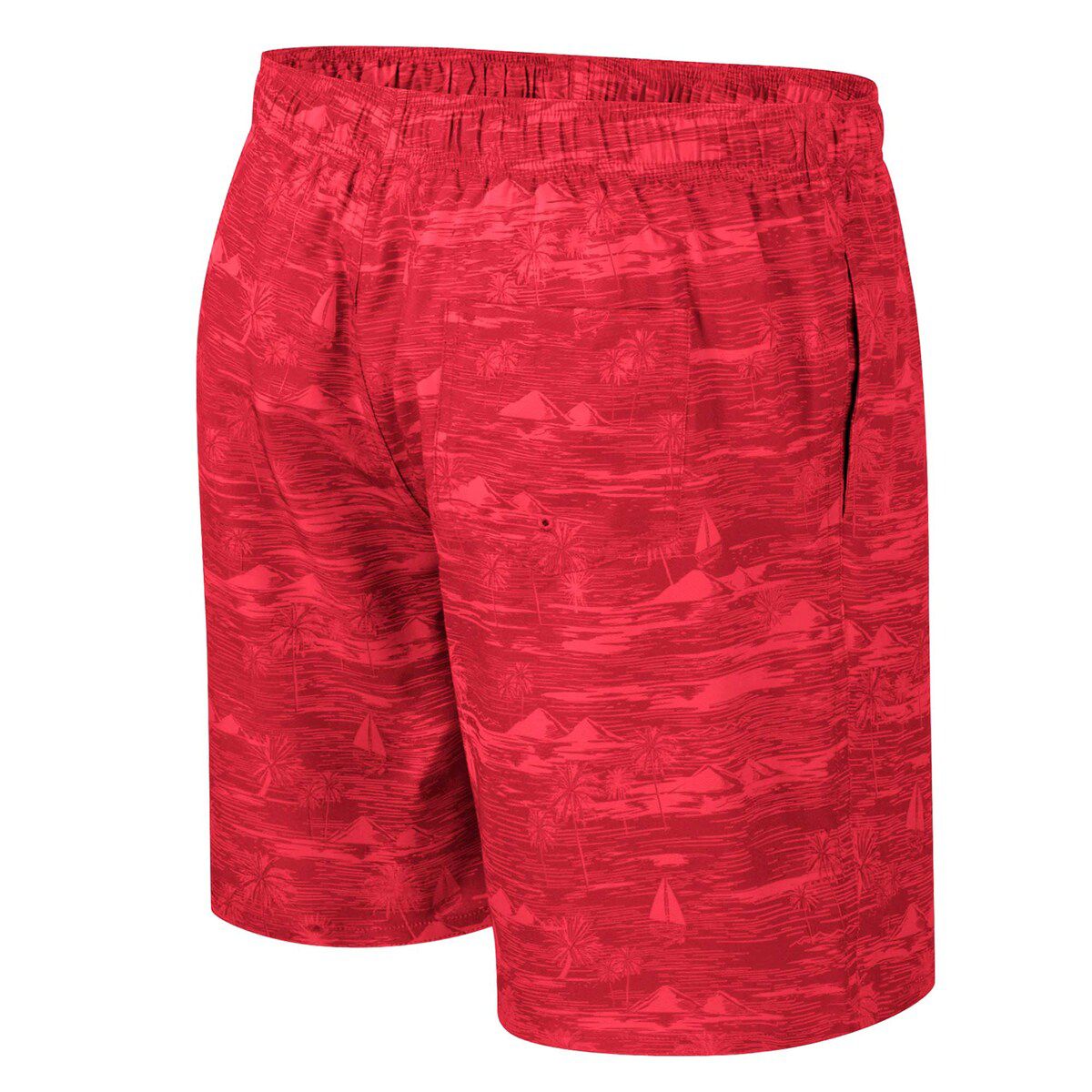 NCAA Houston Cougars Ozark Swim Shorts