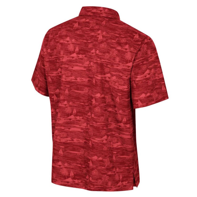 NCAA Arkansas Razorbacks Ozark Button-Up Shirt