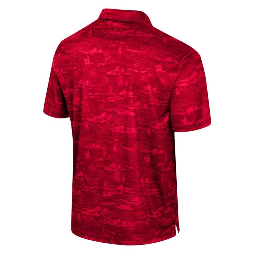 NCAA Louisville Cardinals Daly Print Polo