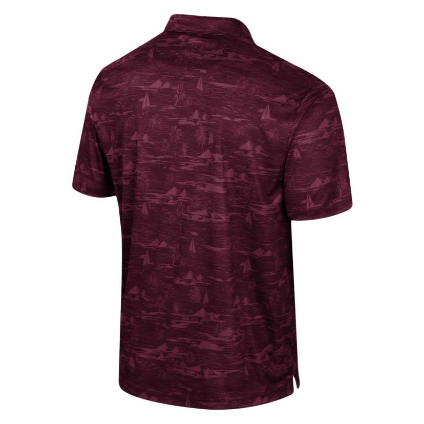 NCAA Montana Grizzlies Daly Print Polo