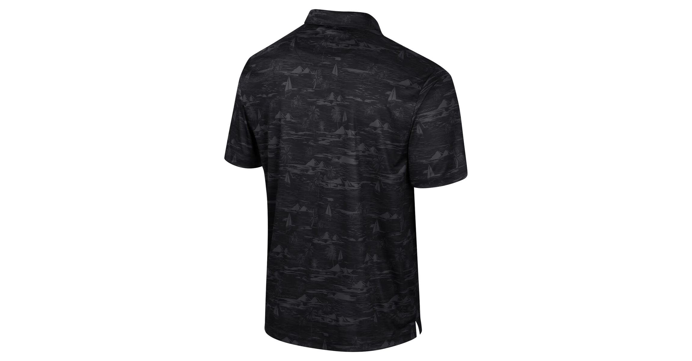 NCAA Florida State Seminoles Daly Print Polo