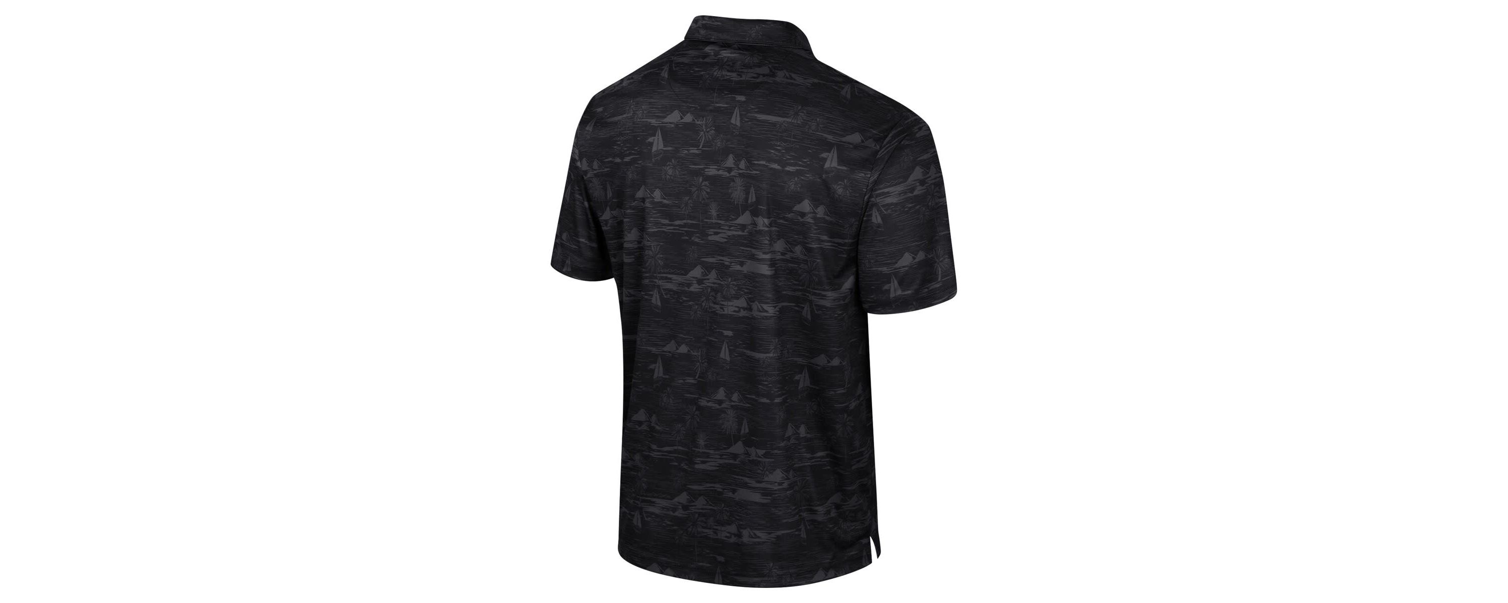 NCAA Florida State Seminoles Daly Print Polo