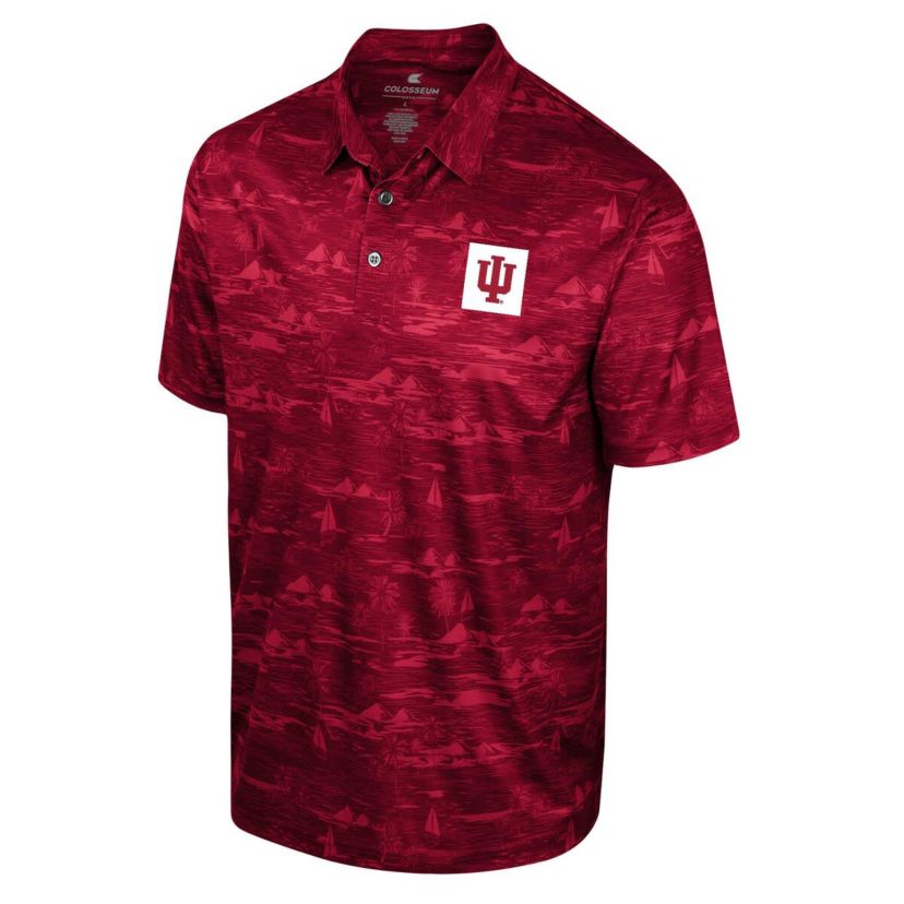 NCAA Indiana Hoosiers Daly Print Polo