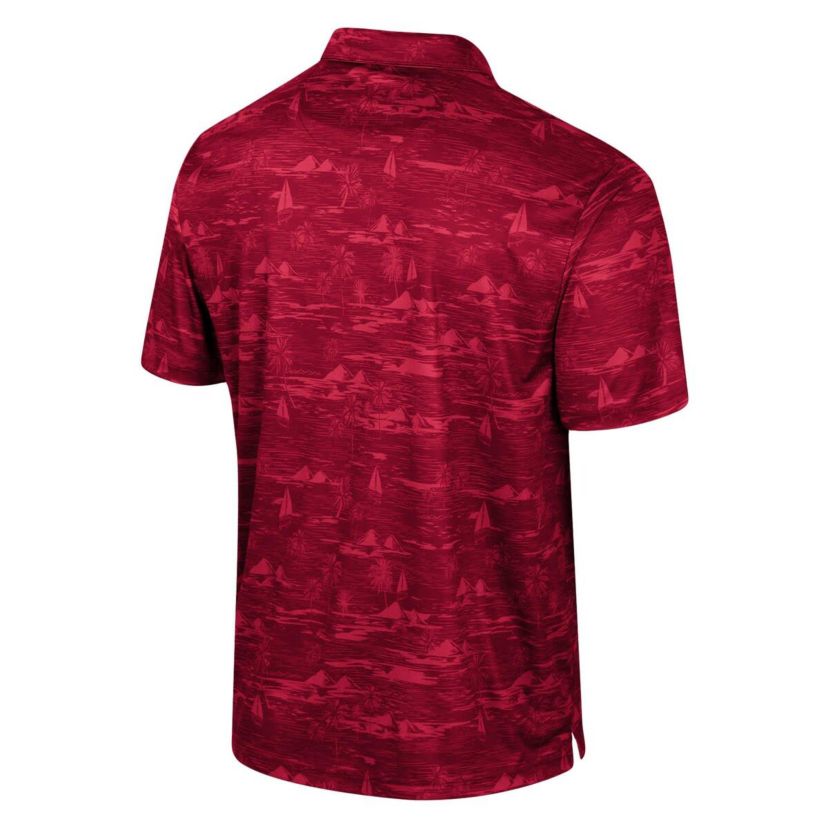 NCAA Indiana Hoosiers Daly Print Polo
