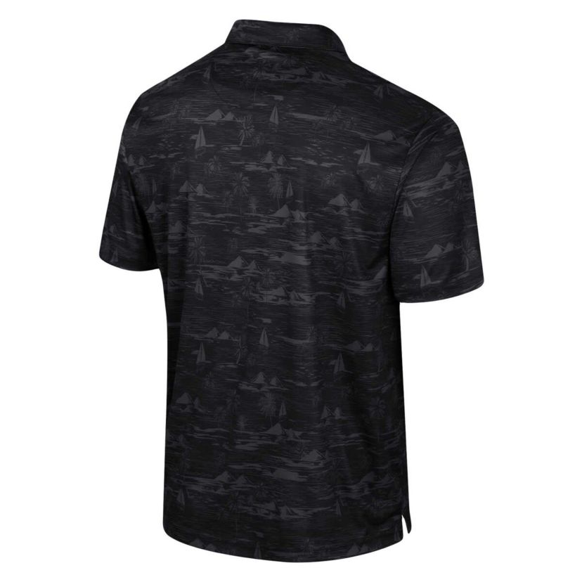 NCAA Iowa Hawkeyes Daly Print Polo