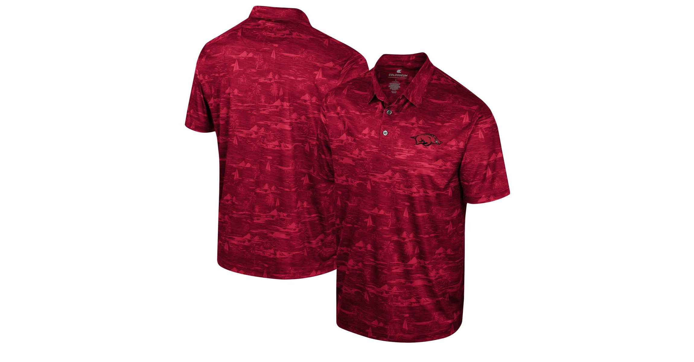 NCAA Arkansas Razorbacks Daly Print Polo
